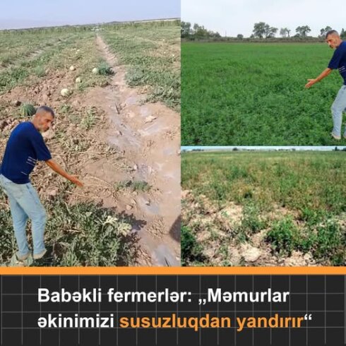 Naxçıvanın Babək rayonunda fermerlər dad edirlər : "Əkinimiz yanır!"